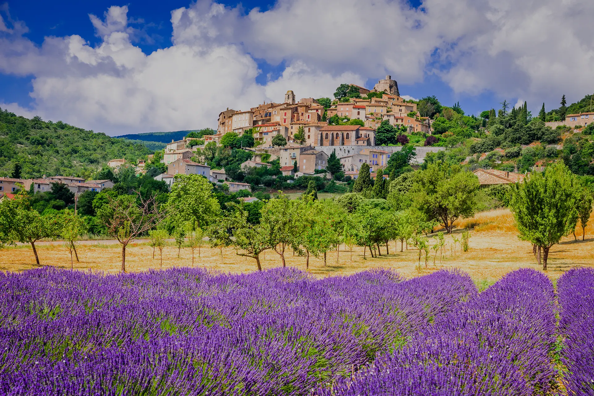 Savourer la Provence authentique